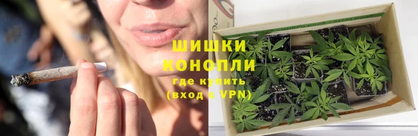 молекула духа Карпинск