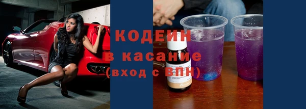 молекула духа Карпинск