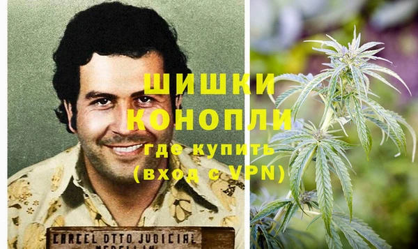 молекула духа Карпинск